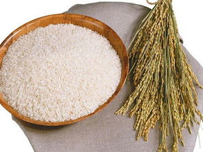 南城膳食公司 東莞區(qū)域信譽卓越的食堂承包與餐飲信息咨詢服務專家