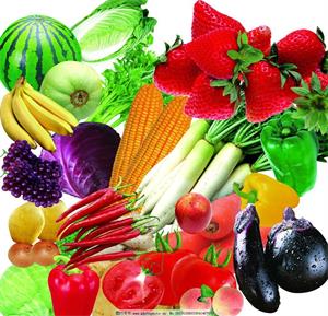 東莞旭新膳食管理 打造冬季養(yǎng)生多元化餐飲新體驗